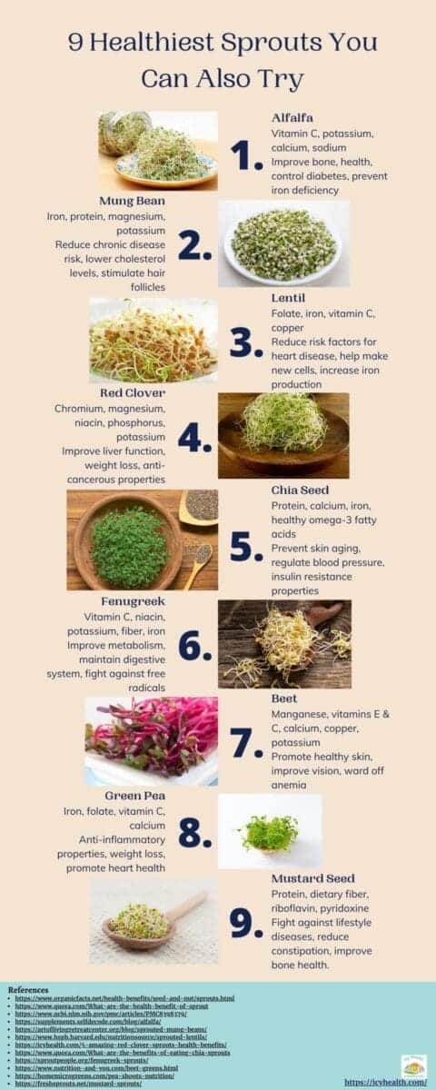 Infographic That Explains 9 Healthiest Sprouts You Can Also Try