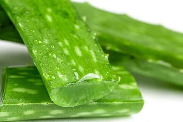 How much aloevera juice is required for your body
