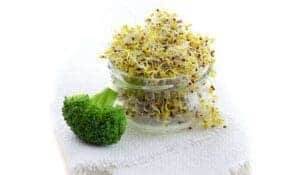 benefits of broccoli sprouts