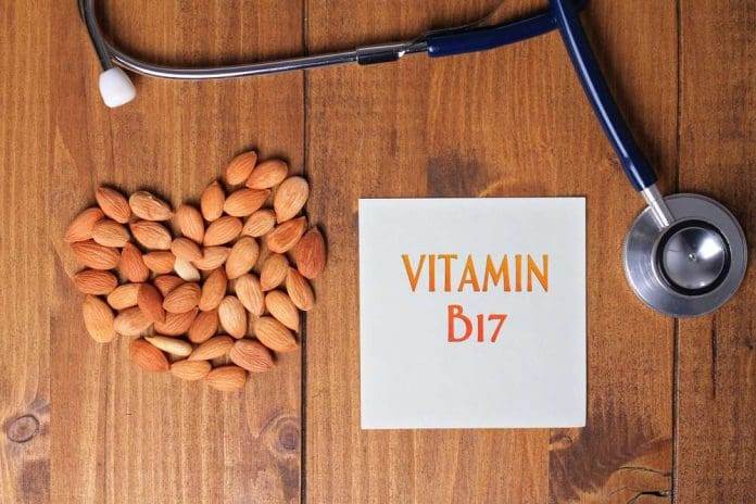 Foods with Vitamin b17 in them