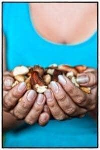 Shelled Brazil nuts