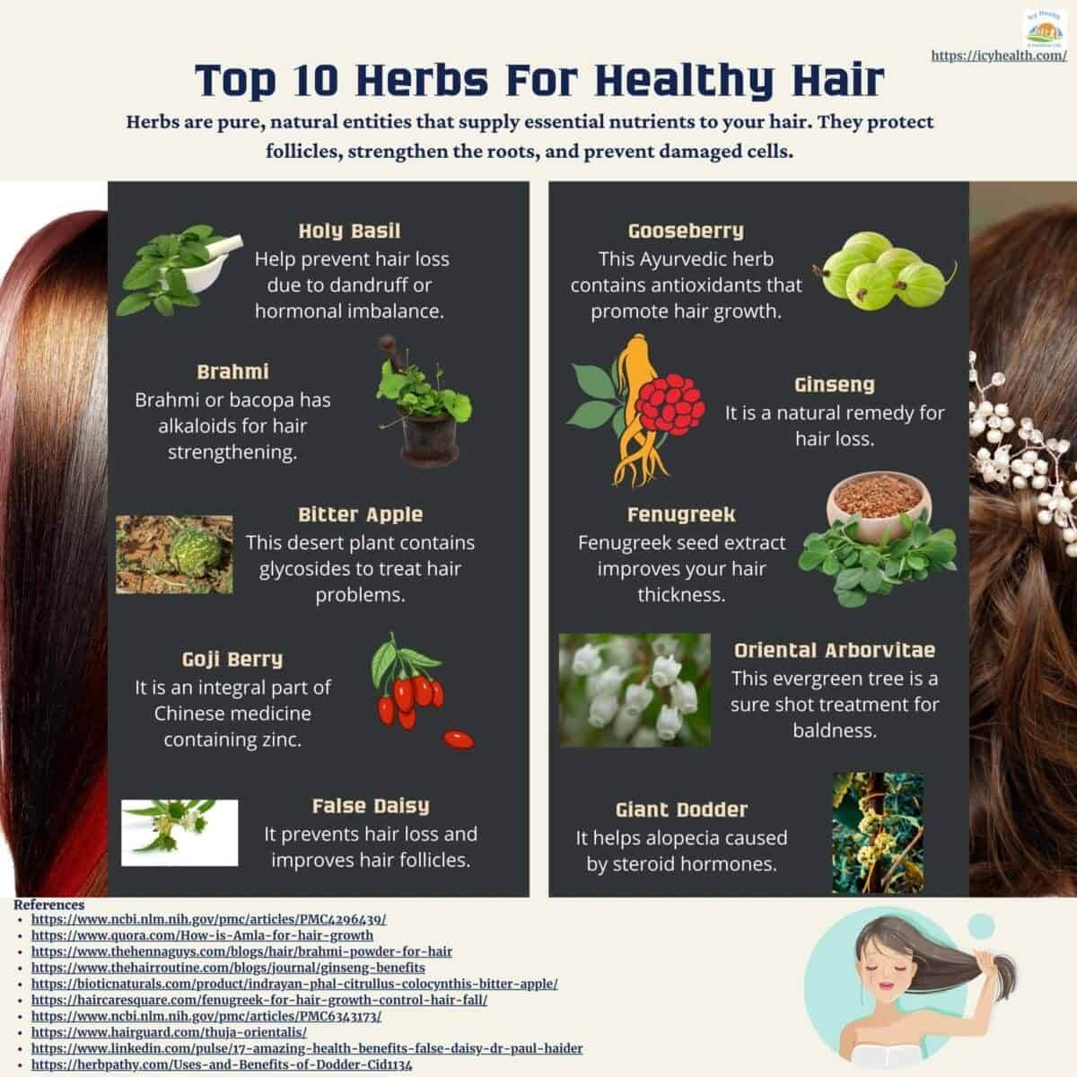 Infographic That Shows Top 10 Herbs For Healthy Hair