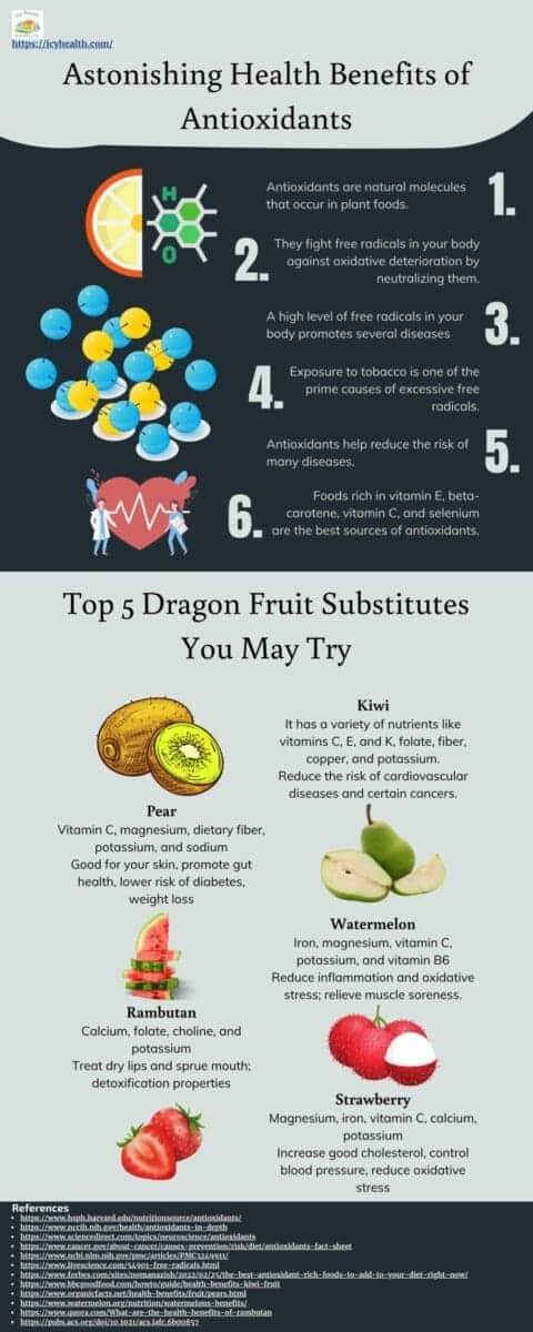 Infographic That Shows Top 5 Dragon Fruit Substitutes You May Try