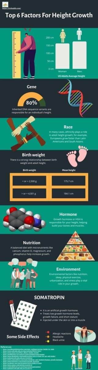 Infographic That Shows Top 6 Factors For Height Growth