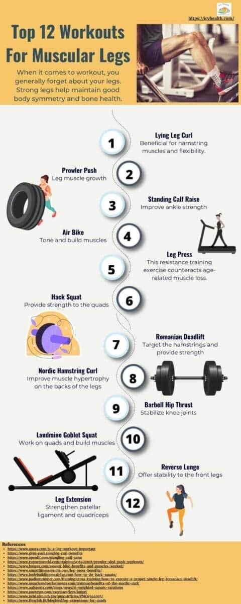 Top 12 Workouts For Muscular Legs