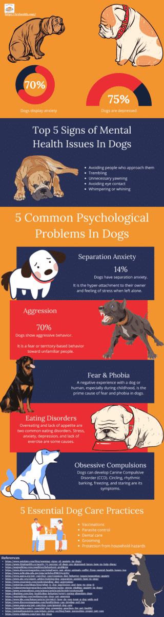 Infographic That Explains 5 Common Psychological Problems In Dogs