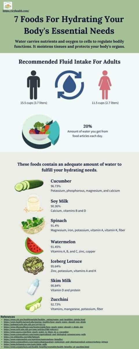 Infographic that presents a list of 7 foods necessary to keep your body hydrated
