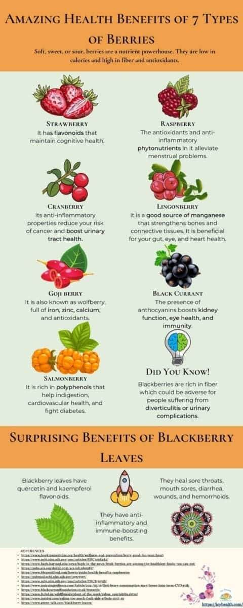 Amazing Health Benefits of 7 Types of Berries