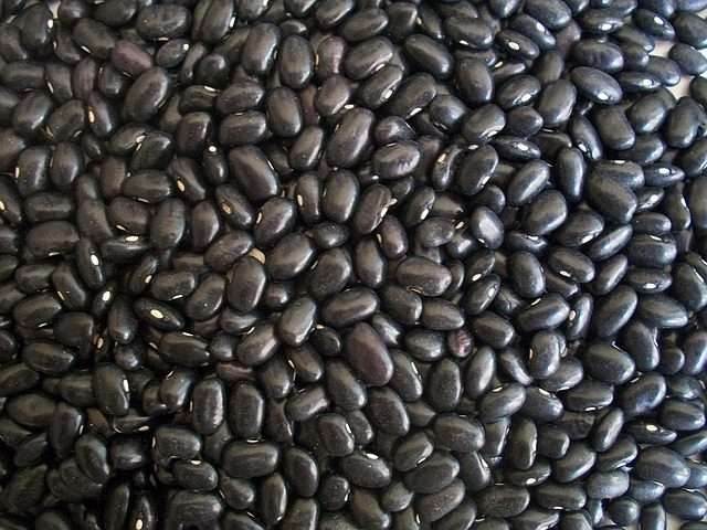 Black bean brownie