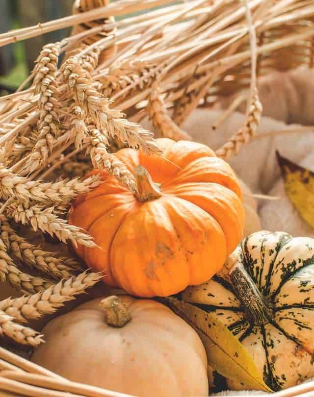 benefits of Pumpkin 