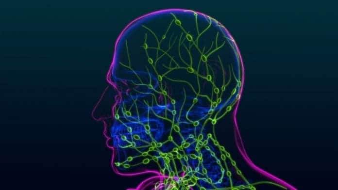 head cancer anatomy lymph nodes