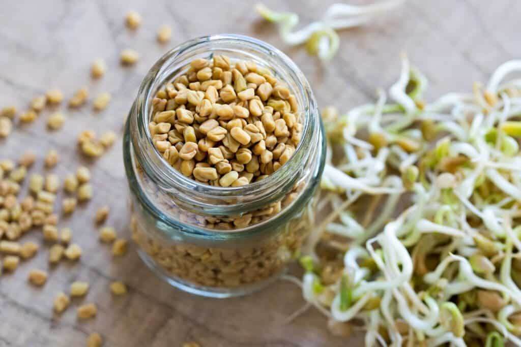 27590614 fenugreek seeds with sprouted fenugreek in the background 1