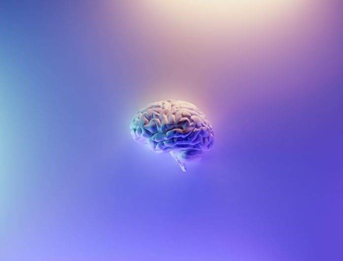 types of brain waves