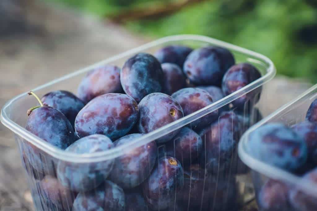 3 Best Foods to Make You Poop Instantly 5 Foods to make you poop
