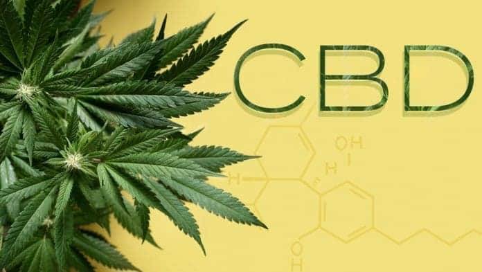 CBD in text and cannabidol formula with marijuana plant with space for text