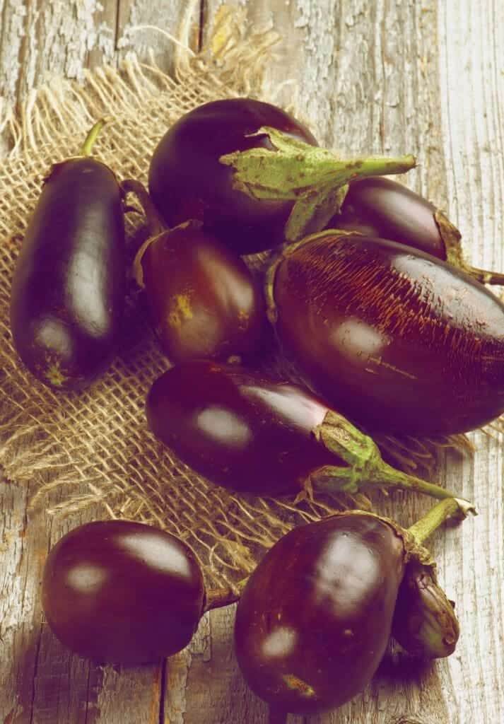 19560808 eggplants