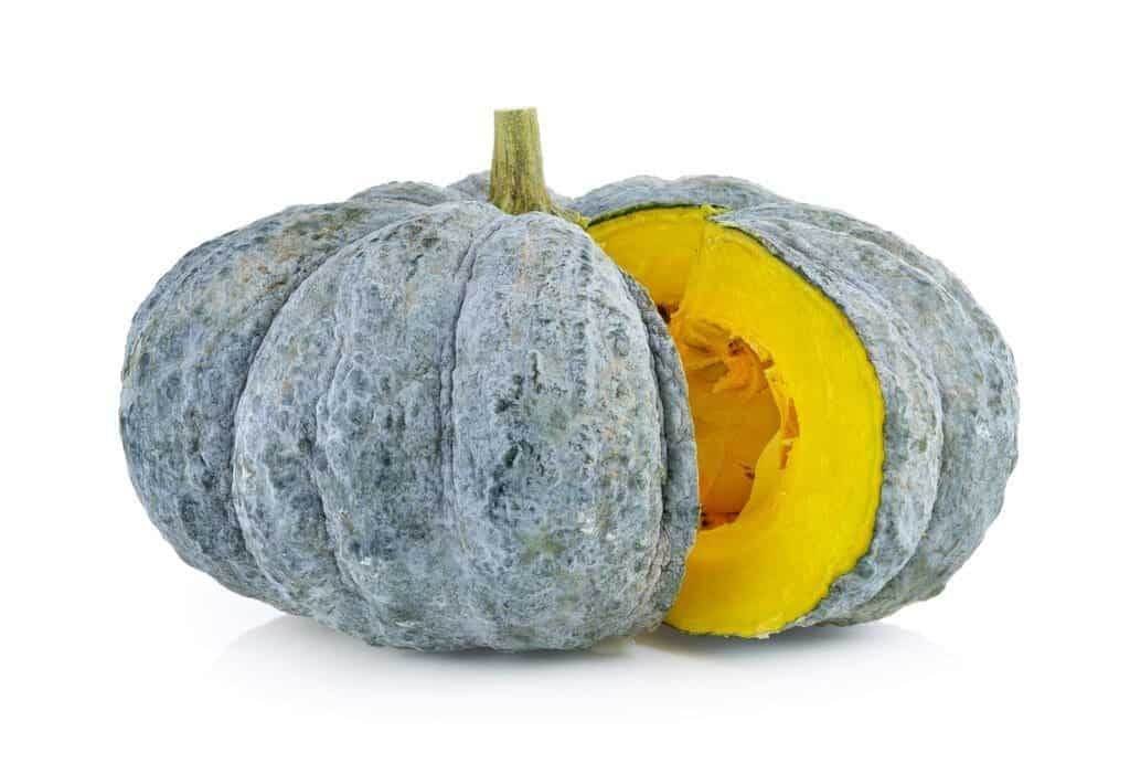 26829748 green pumpkin isolated on the white with clipping path