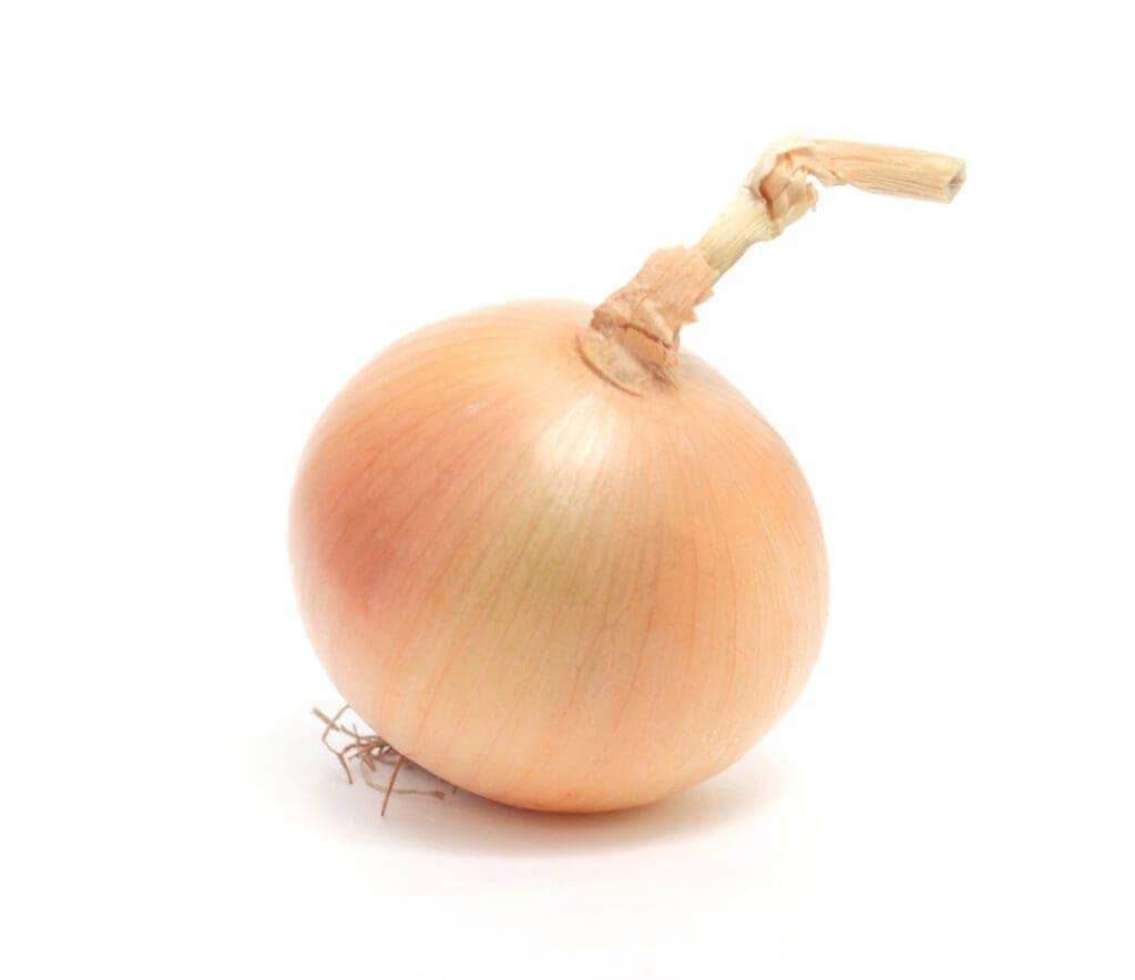 7807876 onion