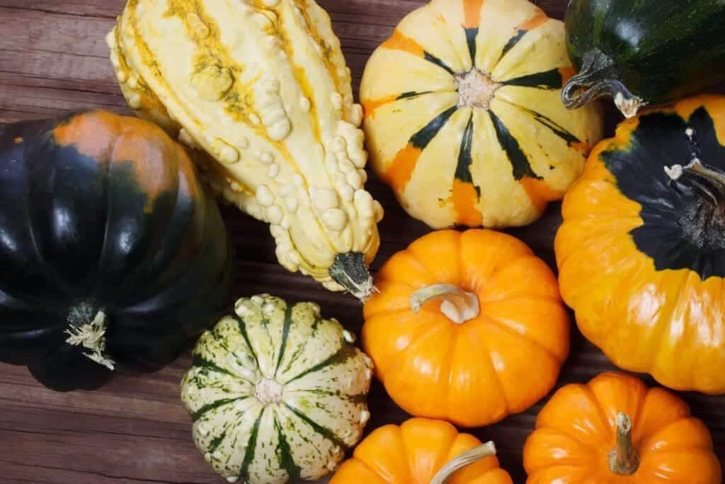 9453284 assorted pumpkins and squashes