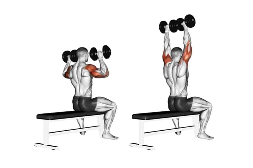 Exercise To Gain Weight Overhead Press