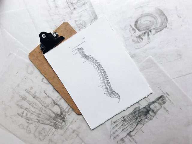 A Detailed Guide On Lower Back Pain Causes And Remedies 1 joyce mccown IG96K HiDk0 unsplash 1