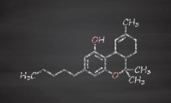 THC (delta-9-tetrahydrocannabinol, dronabinol) cannabis drug molecule. Chalk on blackboard style illustration.