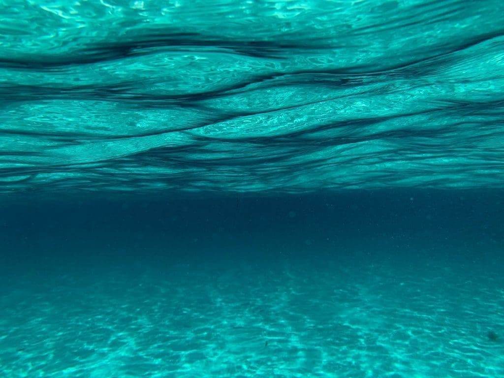 Underwater Glass Sponge