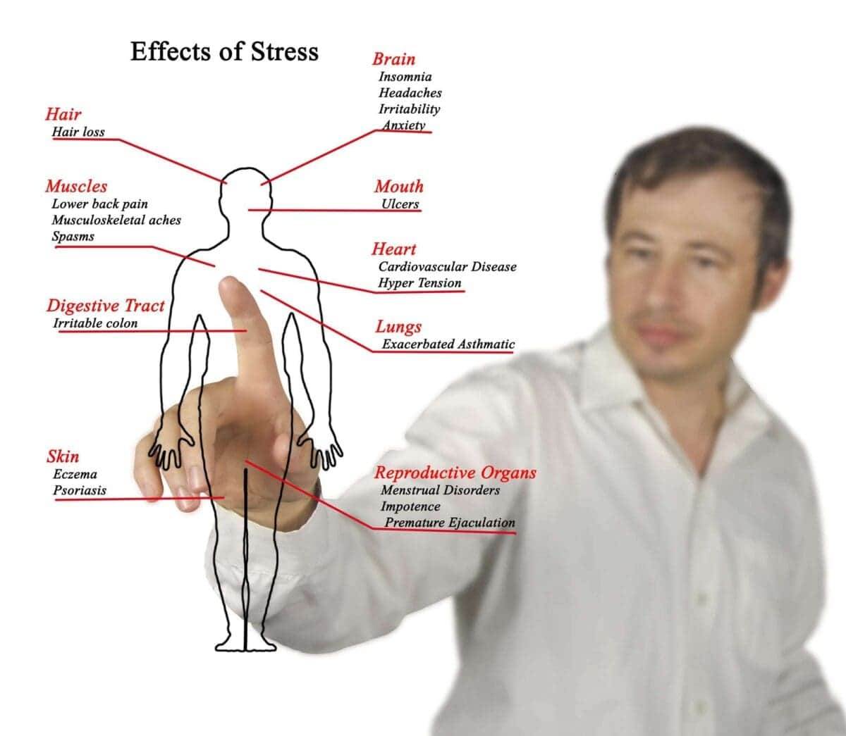 Effects of Stress. 