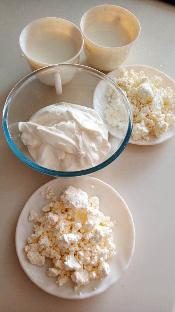 Cottage cheese benifits