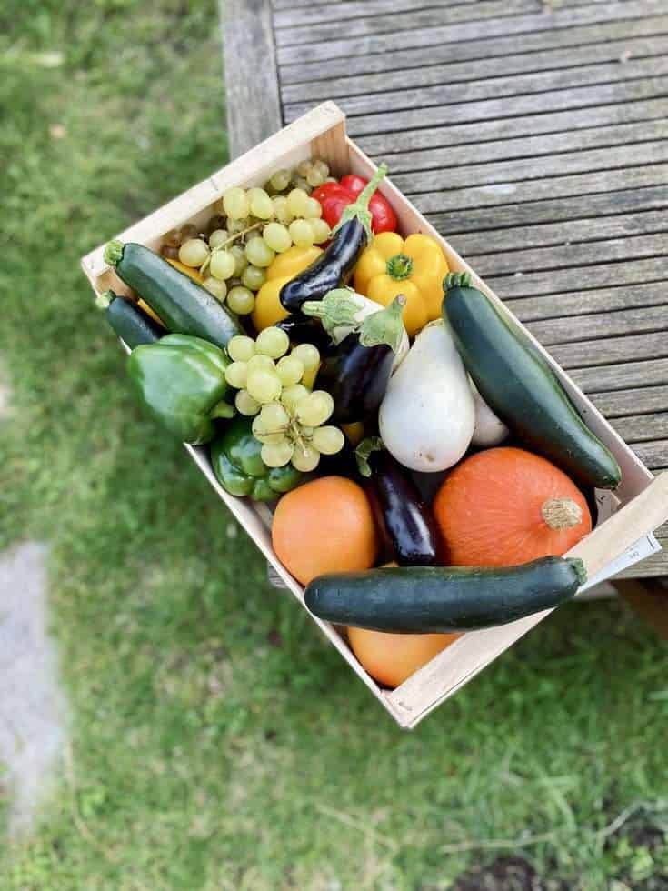 Vegetable crate.