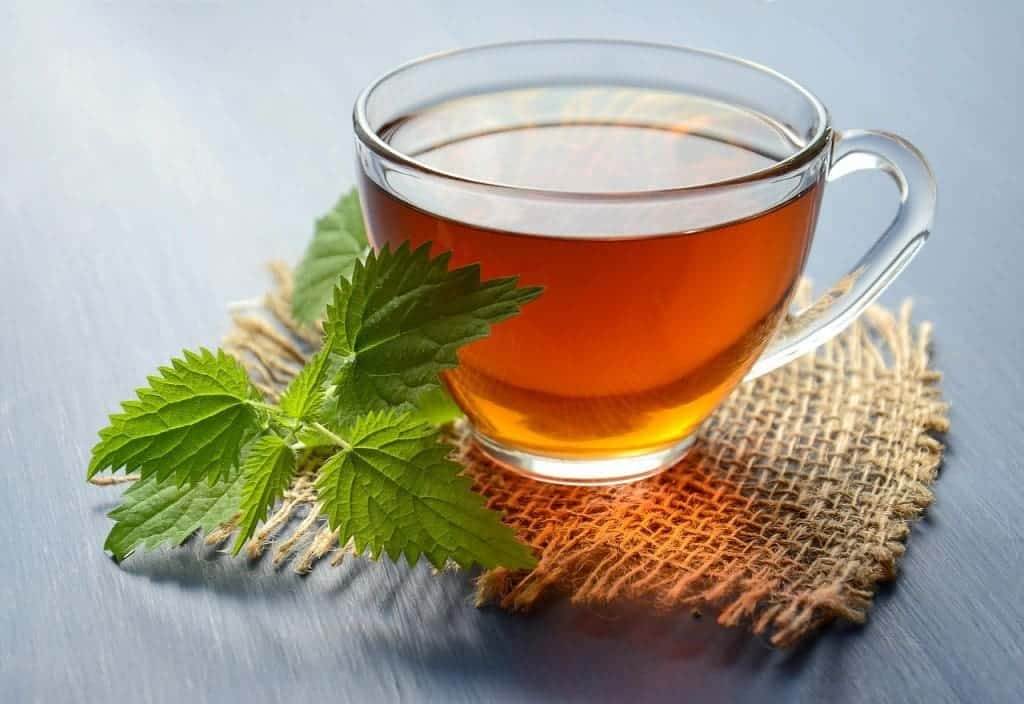 Nettle Tea Benefits: Nettle tea