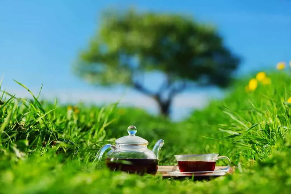 Best Time to Drink Green Tea
