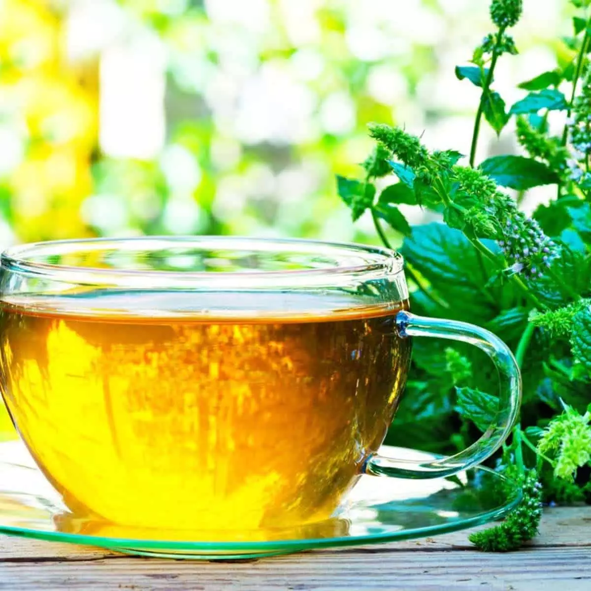 Tea to support your immune system