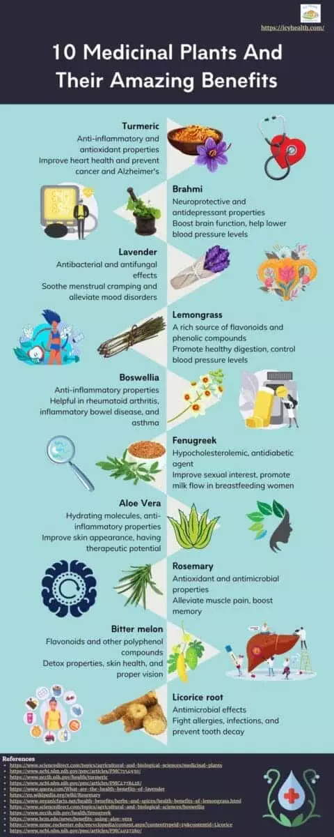 Infographics For 10 Medicinal Plants And Their Amazing Benefits