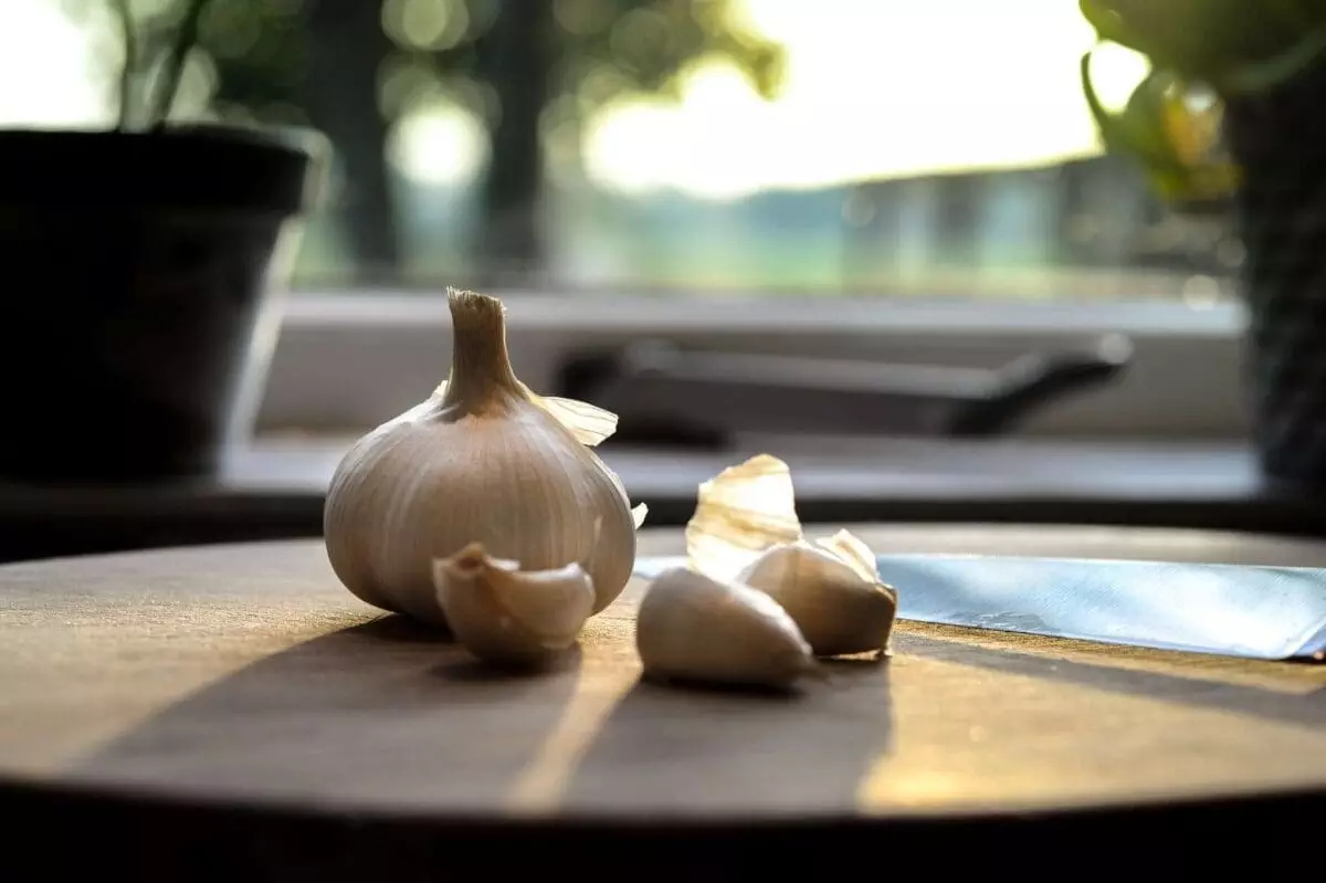 Garlic for toothache