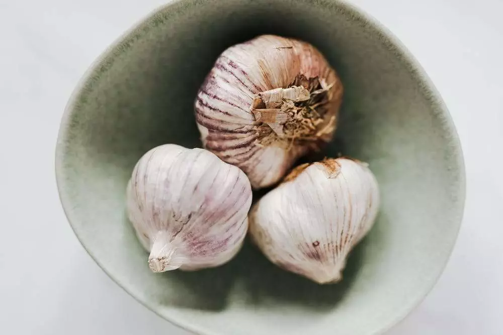Garlic for toothache