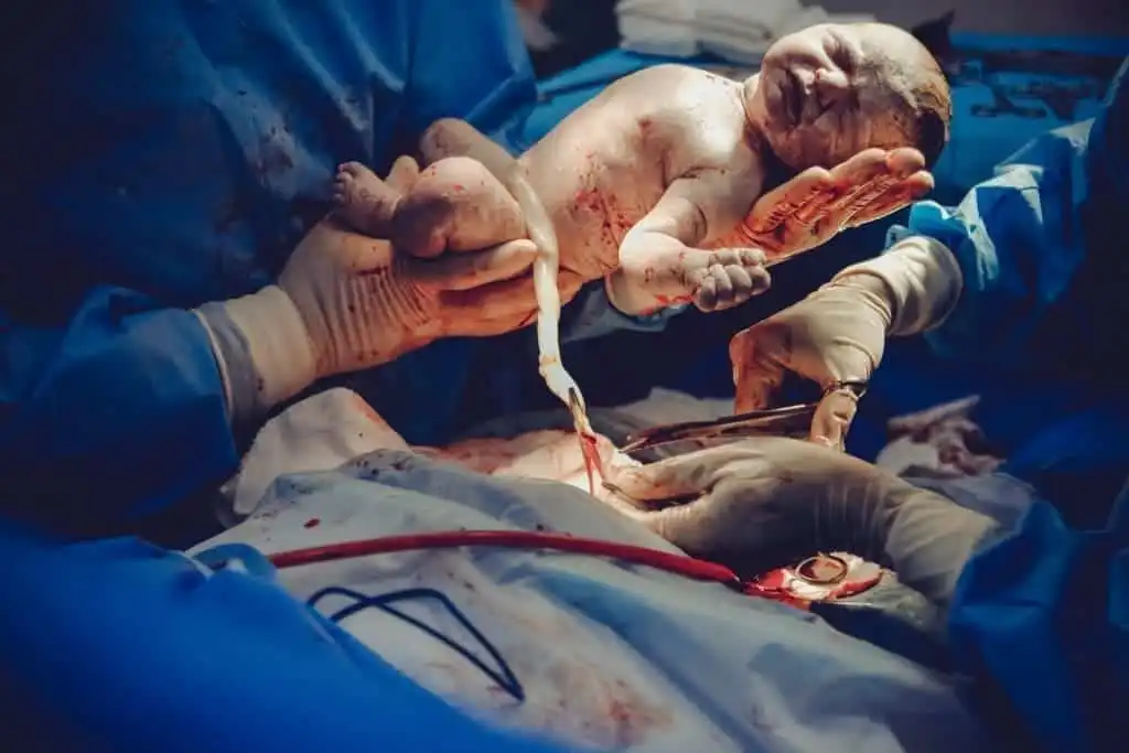 5 Basic Steps: How Does Surrogacy Work 6 Child Birth