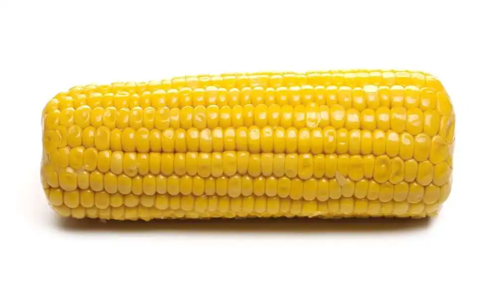 8 Common Corn Allergy Symptoms Read This to Stay Safe