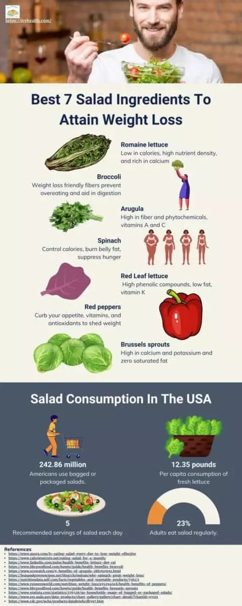Infographic About Best 7 Salad Ingredients To Attain Weight Loss