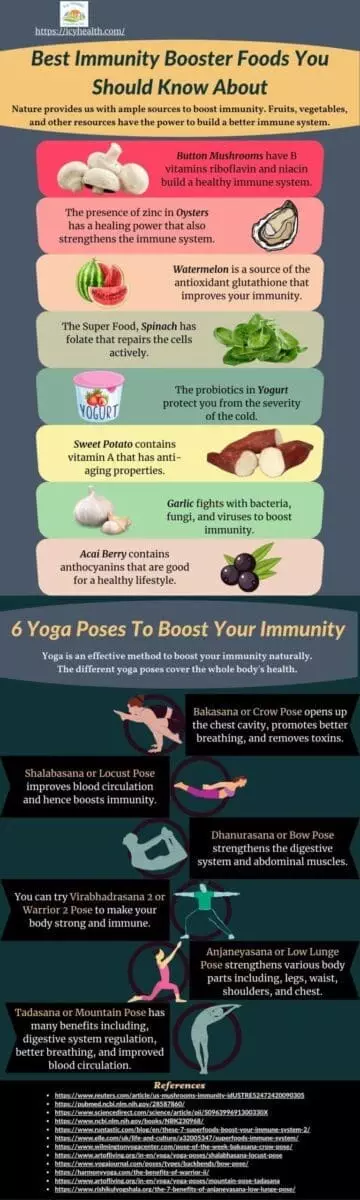 Best Immunity Booster Foods You Should Know About