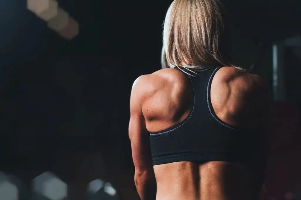 Bulgarian Split Squat: 6 Easy Steps and 5 Common Mistakes 2 Building Core muscles