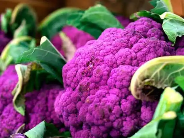 9 Powerful Health Benefits of Cauliflower 3 cauliflower health benefits