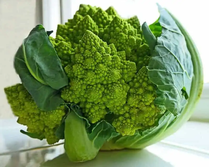 9 Powerful Health Benefits of Cauliflower 4 ccauliflower health benefits