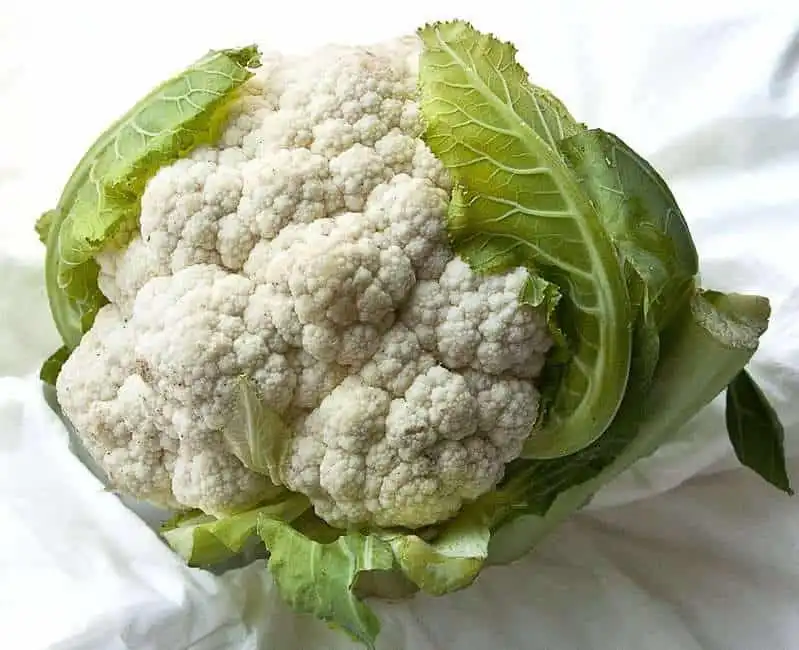 9 Powerful Health Benefits of Cauliflower 1 cauliflower health benefits