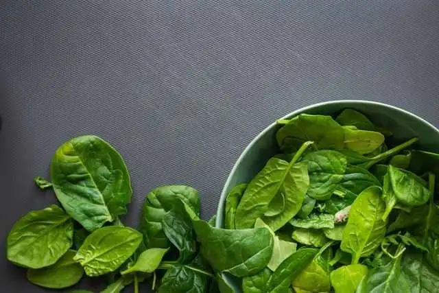13 Amazing Spinach Smoothie Benefits 8 louis hansel aKkfva3IdTw unsplash