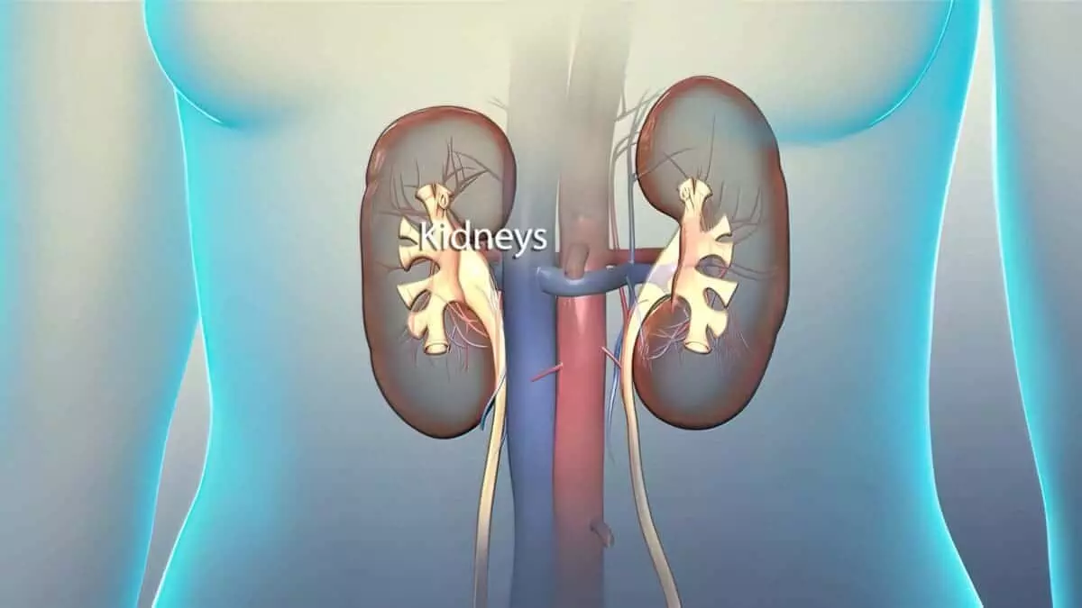 What are the 5 stages of kidney failure?